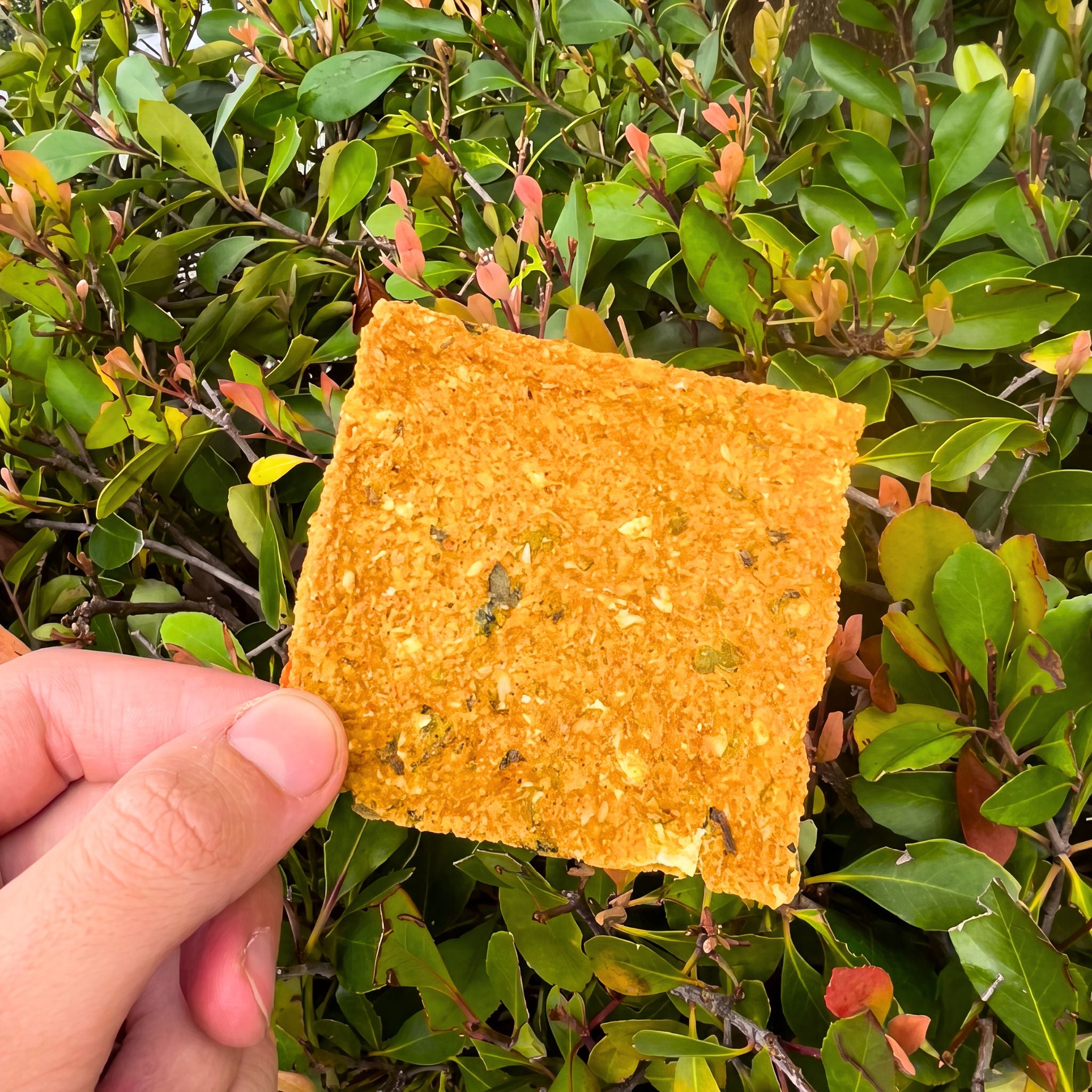 Trail Salad